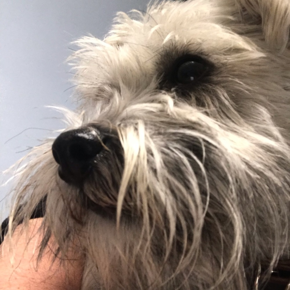 Meet your Posher, Margo